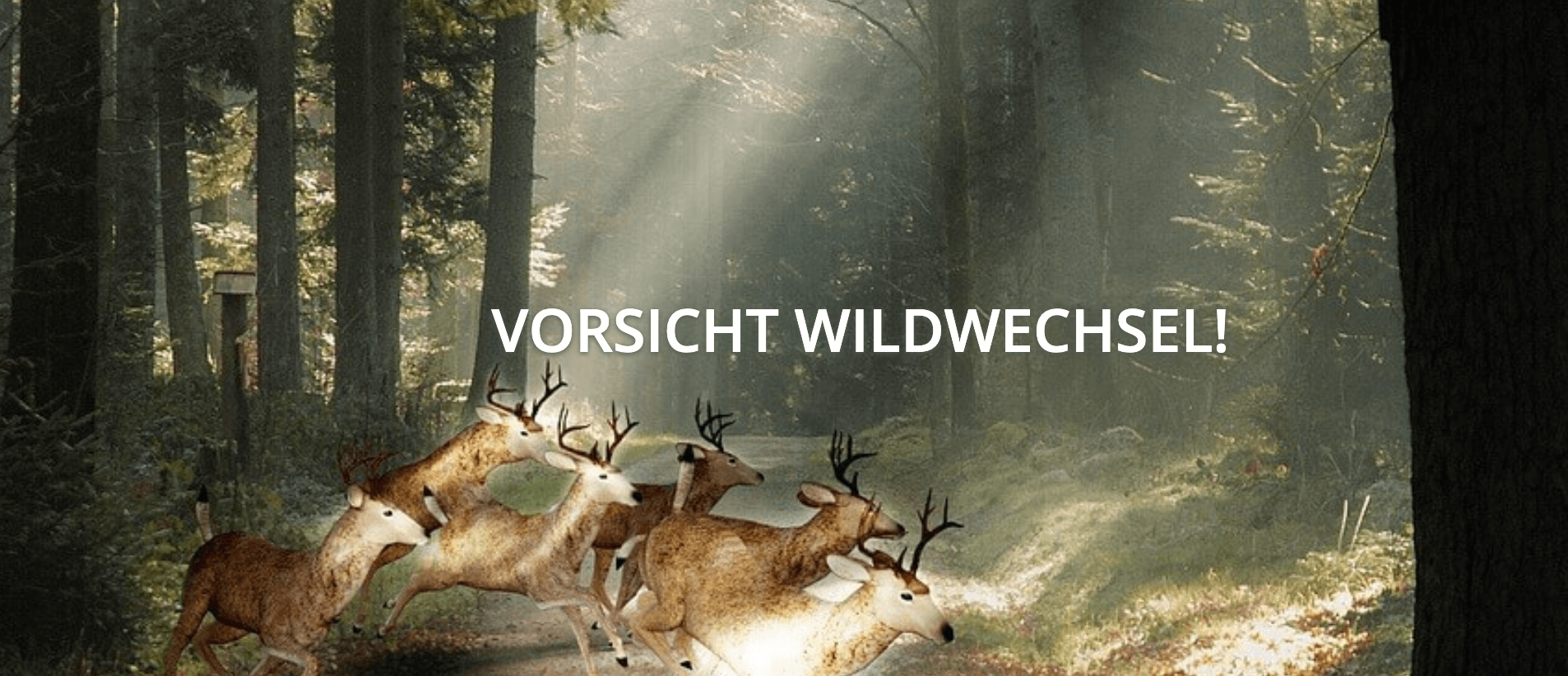 Kampagne des Monats Oktober