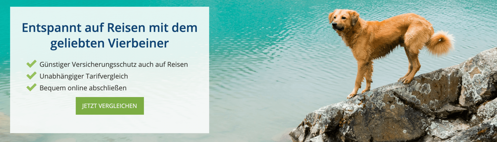 Kampagne des Monats August