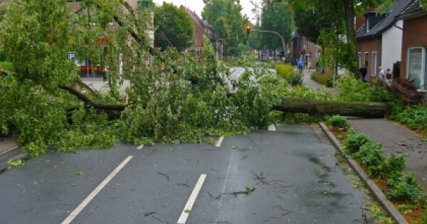 Aktueller Marketing-Aufhänger: Informieren Sie jetzt Ihre Kunden zum Thema Sturm