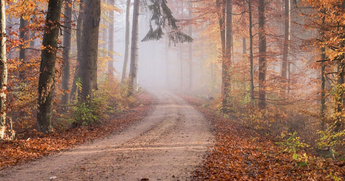 Beratungsansatz Tod: Weil die Verantwortung bleibt